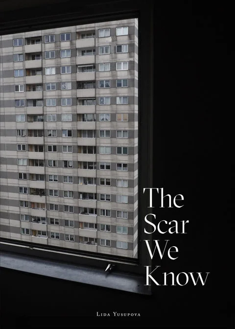 Обложка книги «The Scar We Know»