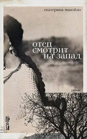 Обложка книги «Отец смотрит на запад: роман»