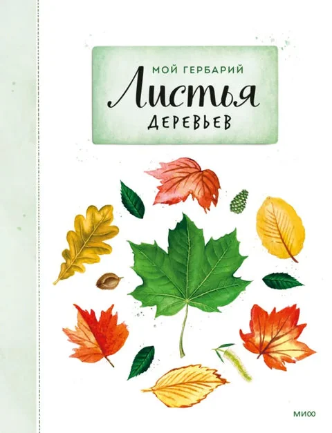 Обложка книги «Мой гербарий. Листья деревьев»