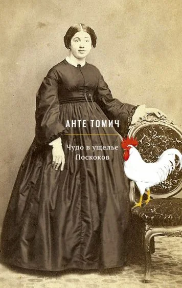 Обложка книги «Чудо в ущелье Поскоков»