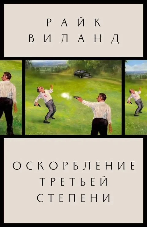 Обложка книги «Оскорбление третьей степени»