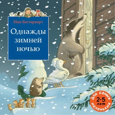 Обложка книги «Однажды зимней ночью»