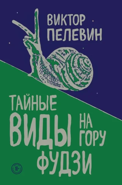 Обложка книги «Тайные виды на гору Фудзи»