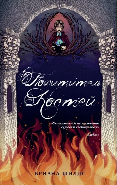 Обложка книги «Похититель костей»