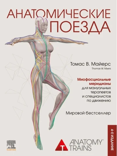 Обложка книги «Анатомические поезда. Миофасциальные меридианы для мануальных терапевтов и специалистов по движению»