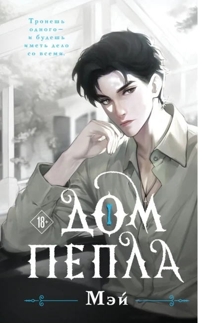 Обложка книги «Дом пепла»