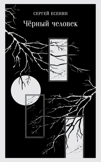 Обложка книги «Чёрный человек»