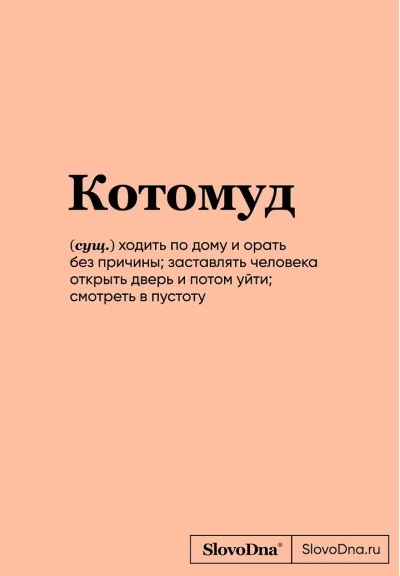 Обложка книги «Котомуд. Блокнот SlovoDna»