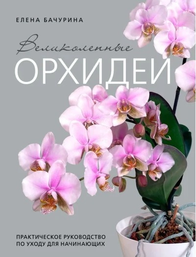 Обложка книги «Великолепные орхидеи. Практичное руководство по уходу для начинающих»