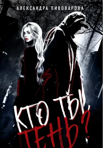Обложка книги «Кто ты, Тень?»