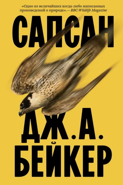 Обложка книги «Сапсан»