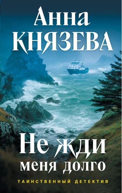 Обложка книги «Не жди меня долго»