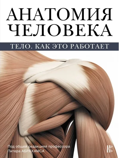 Обложка книги «Анатомия человека. Тело. Как это работает»