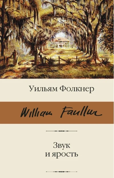 Обложка книги «Звук и ярость»