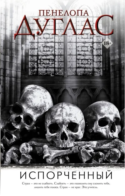 Обложка книги «Испорченный»