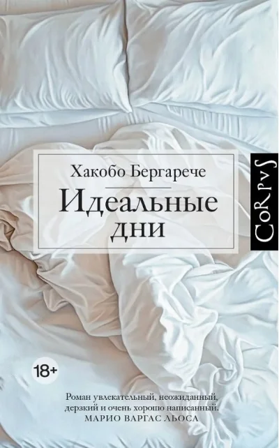 Обложка книги «Идеальные дни»