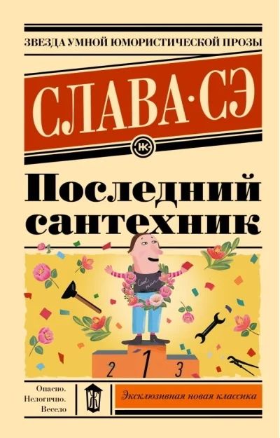 Обложка книги «Последний сантехник»