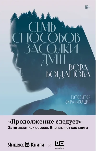 Обложка книги «Семь способов засолки душ»