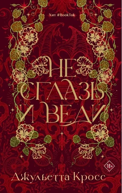 Обложка книги «Не сглазь и веди»
