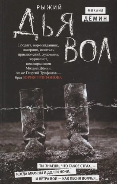 Обложка книги «Рыжий дьявол»