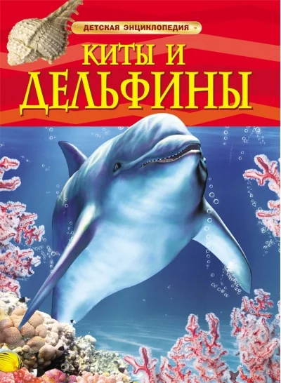 Обложка книги «Киты и дельфины»