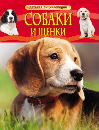 Обложка книги «Собаки и щенки»