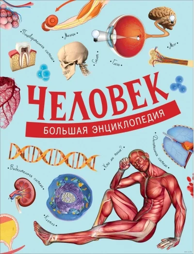 Обложка книги «Человек. Большая энциклопедия»