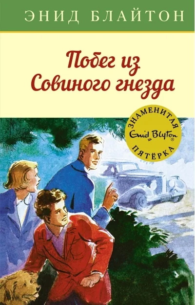 Обложка книги «Побег из Совиного гнезда»