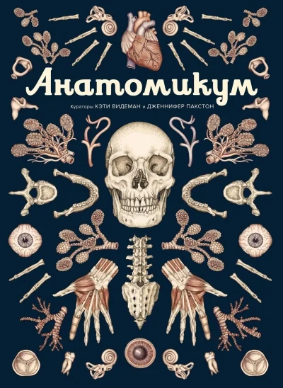 Обложка книги «Анатомикум»