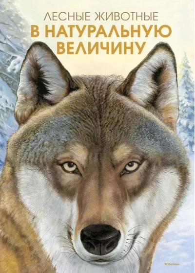 Обложка книги «Лесные животные в натуральную величину»