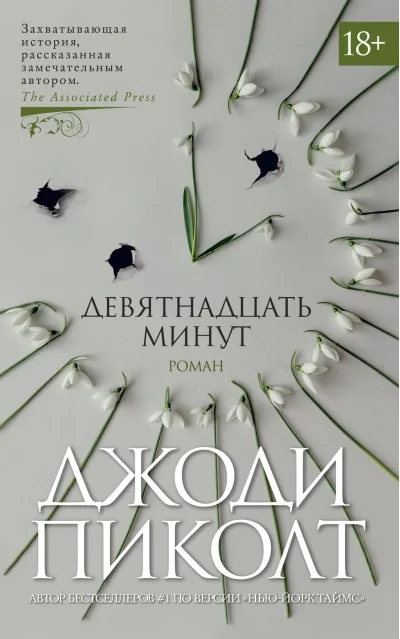 Обложка книги «Девятнадцать минут»