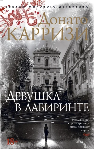 Обложка книги «Девушка в лабиринте»