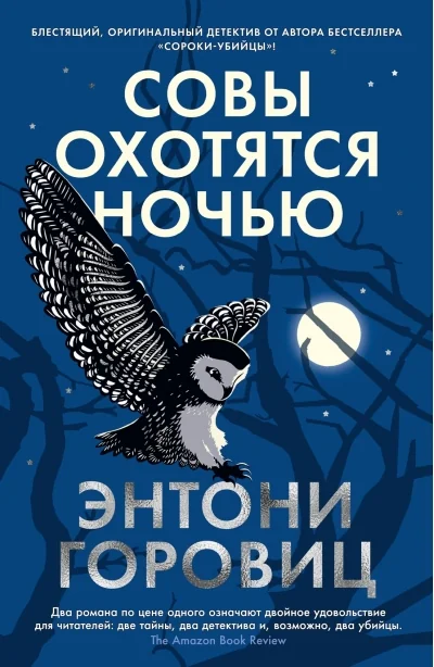 Обложка книги «Совы охотятся ночью»