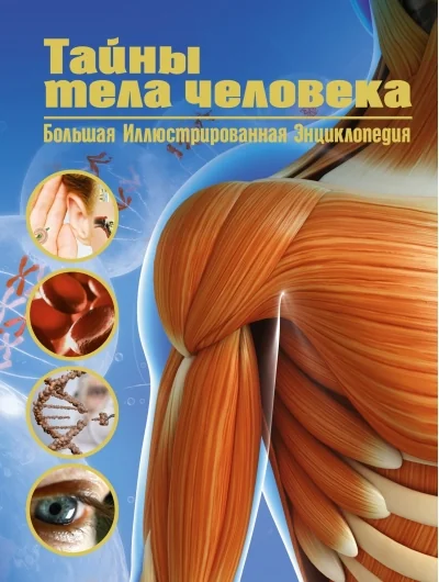 Обложка книги «Тайны тела человека. Большая иллюстрированная энциклопедия»