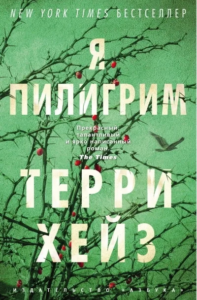 Обложка книги «Я Пилигрим»