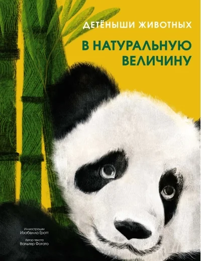 Обложка книги «Детёныши животных в натуральную величину»