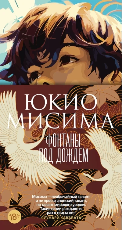 Обложка книги «Фонтаны под дождём»