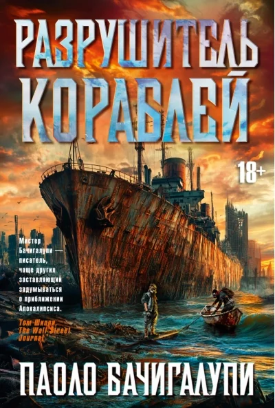 Обложка книги «Разрушитель кораблей»