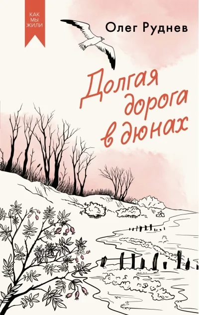Обложка книги «Долгая дорога в дюнах»