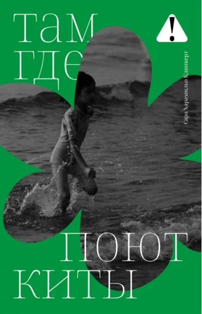 Обложка книги «Там,гдепоюткиты»