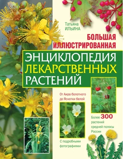 Обложка книги «Большая иллюстрированная энциклопедия лекарственных растений»