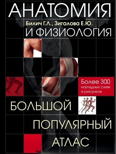 Обложка книги «Анатомия и физиология. Большой популярный атлас»