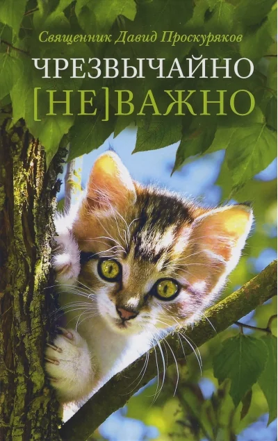 Обложка книги «Чрезвычайно (не)важно»