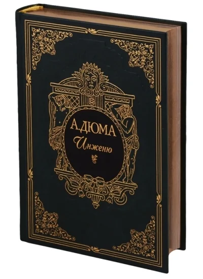 Обложка книги «Инженю»
