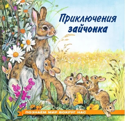 Обложка книги «Приключения зайчонка»