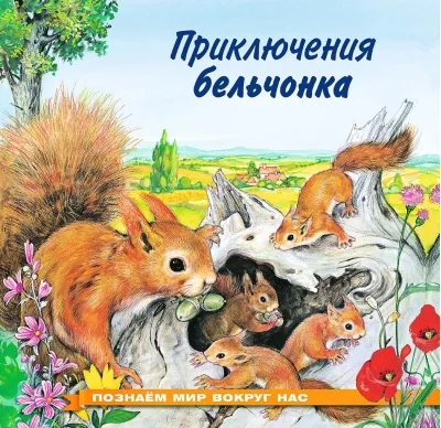 Обложка книги «Приключения бельчонка»
