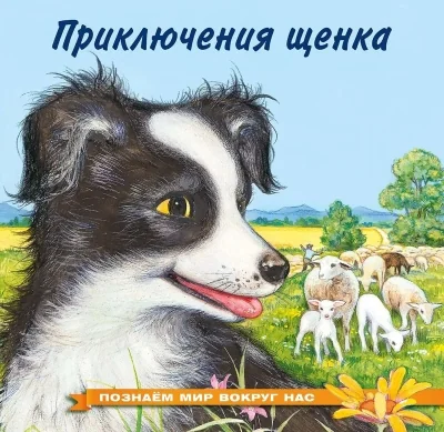 Обложка книги «Познаем мир вокруг нас. Приключения щенка»