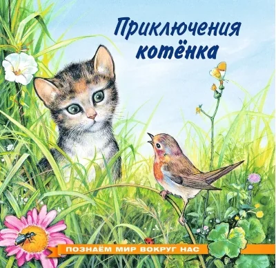 Обложка книги «Познаем мир вокруг нас. Приключения котенка»