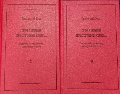 Обложка книги «Грозя бедой преступной силе… Летучий боевой отряд Северной области (1906-1908). В 2 томах. Том 1. Идеология. События. Люди. Том 2. Дополнения и приложения»