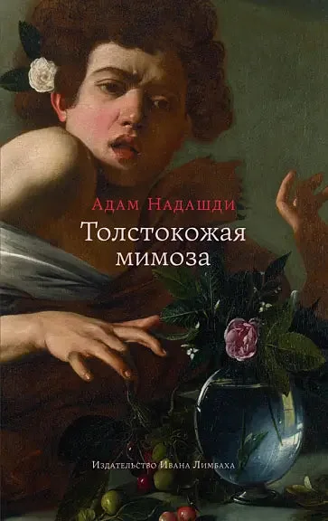 Обложка книги «Толстокожая мимоза»
